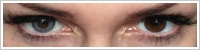 FreshLook ColorBlends / Sterling grey -