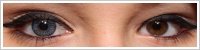 SofLens Natural Colors / Pacific -