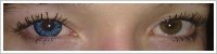 ColourVUE Big Eyes / Cool blue -