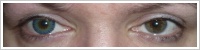 ColourVUE Fusion / Blue/yellow -