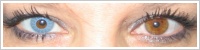 ColourVUE Crazy Lens / Solar blue -