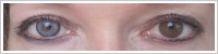 SofLens Natural Colors / Platinum -