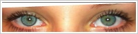 SofLens Natural Colors / Platinum -