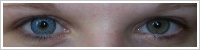 Acuvue 2 Colours - krycí / Modrá -