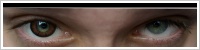 ColourVUE Big Eyes / Pretty hazel -