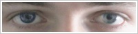 Acuvue 2 Colours - krycí / Modrá -