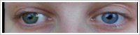 Magic Eye (2 čočky) - nedioptrické / Green -