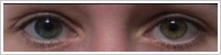Acuvue 2 Colours - tónovací / Modrá -