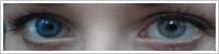 FreshLook ColorBlends / Briliant blue -