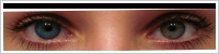 FreshLook ColorBlends / Briliant blue -