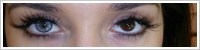 SofLens Natural Colors / Platinum -