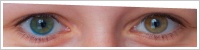 Acuvue 2 Colours - tónovací / Modrá -