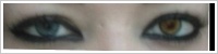 SofLens Natural Colors / Platinum -