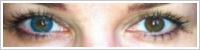 FreshLook ColorBlends / Turquoise -