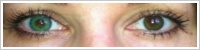 ColourVUE Fusion / Green/yellow -