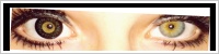 ColourVUE Big Eyes / Dolly black -