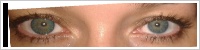 FreshLook ColorBlends / Turquoise -