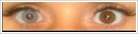 ColourVUE Crazy Lens / Zombie gray -