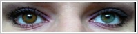 FreshLook ColorBlends / Honey -