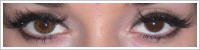 FreshLook ColorBlends / Pure hazel -