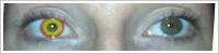 ColourVUE Crazy Lens / Wildfire -