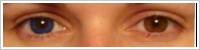 Acuvue 2 Colours - krycí / Safírová -