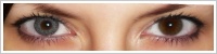 FreshLook ColorBlends / Sterling grey -