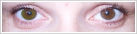 Acuvue 2 Colours - krycí / Zelená -