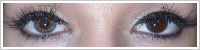 FreshLook ColorBlends / Gray -