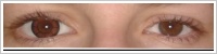 ColourVUE Big Eyes / Pretty hazel -