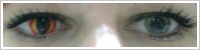 ColourVUE Crazy Lens / Dragon eyes -