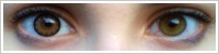 ColourVUE Big Eyes / Sexy brown -