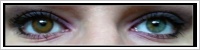 FreshLook ColorBlends / Honey -