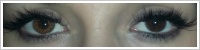 FreshLook ColorBlends / Honey -