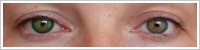 FreshLook Dimensions / Sea green -