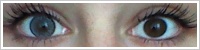 SofLens Natural Colors / Platinum -