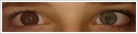 ColourVUE Big Eyes / Pretty hazel -