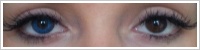 FreshLook ColorBlends / Briliant blue -