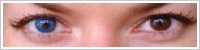 FreshLook ColorBlends / Briliant blue -
