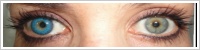 FreshLook ColorBlends / Briliant blue -