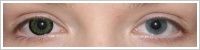 ColourVUE Big Eyes / Party green -