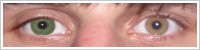 Acuvue 2 Colours - krycí / Zelená -