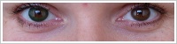 FreshLook Dimensions / Sea green -
