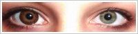 Magic Eye (2 čočky) - nedioptrické / Brown -
