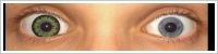 ColourVUE Big Eyes / Party green -