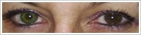 FreshLook ColorBlends / Gemstone green -