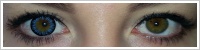 ColourVUE Big Eyes / Cool blue -