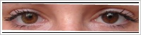 FreshLook ColorBlends / Pure hazel -