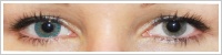 FreshLook ColorBlends / Turquoise -