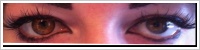 ColourVUE Glamour / Honey -